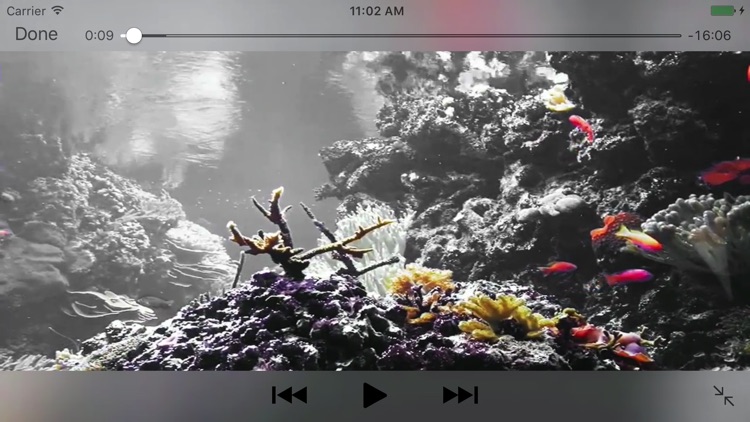 Reef Aquarium 2D/3D free