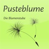 Pusteblume - Die Blumenstube