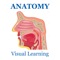 This app contains over thousands of practice questions with IMAGES, terms, study cards, vocabularies & concepts for self learning & exam preparation on the topic of Anatomy Skeletal System