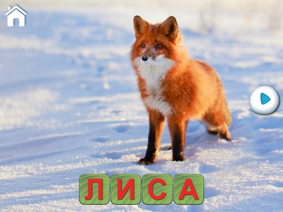 Скачать Учимся Читать, Спасаем Зверей!