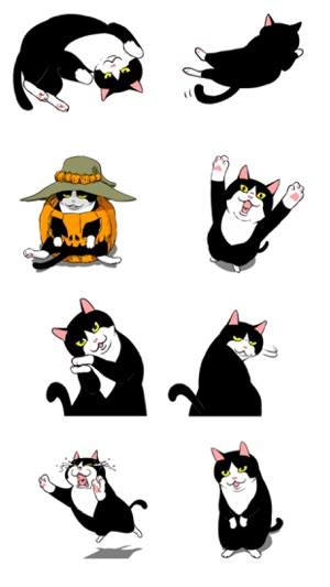 Playful Black Cat(圖3)-速報App