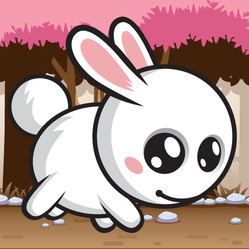 Fast Rabbit Adventures Icon