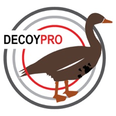 Activities of Specklebelly Goose Hunting Decoy Spreads -DecoyPro