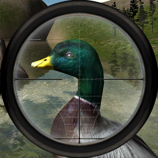 Wild Duck Hunting Icon