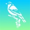 With featured images and audios of 150+ common bird species will bring to you amazing nature music