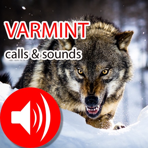 Varmint Real Calls & Sounds