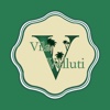 Vila Velluti