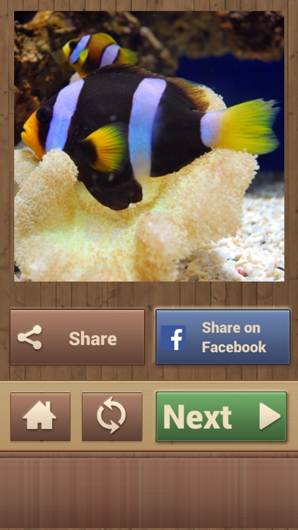 Animal Puzzle Games - Fun Jigsaw Puzzles screenshot-4