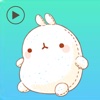 Molang Cartoon New Stickers