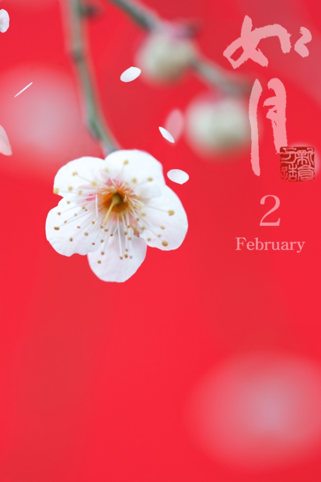 はなといろカレンダー - そよ風に揺れる美しい花たち - 2012 screenshot 2