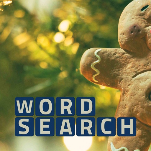 Wordsearch Revealer Christmas Icon