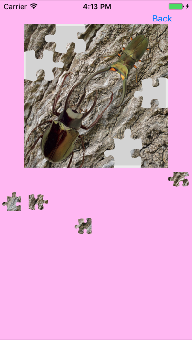 Rhinoceros Beetle Jigsaw Puzzle screenshot 2