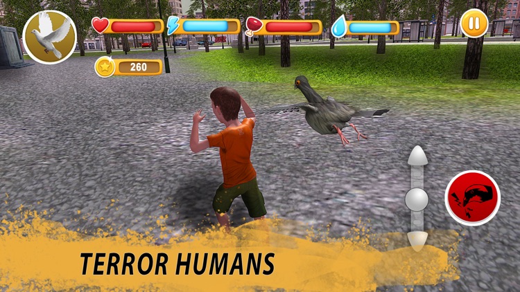 Pigeon simulator download pc