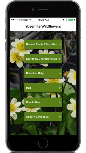 Yosemite Wildflowers(圖2)-速報App