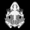 The 3D Frog Anatomy App allows view the anatomy of an Amphibian