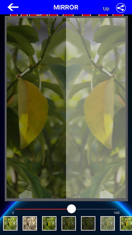 Free Photo Mirror Pro Edition screenshot-3