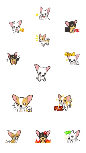 Chihuahua Dog - Stickers(圖2)-速報App