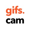 gifs.cam - instant fun video remix camera