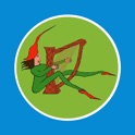 Fairy Tarot Cards, by Jaya Moran icon