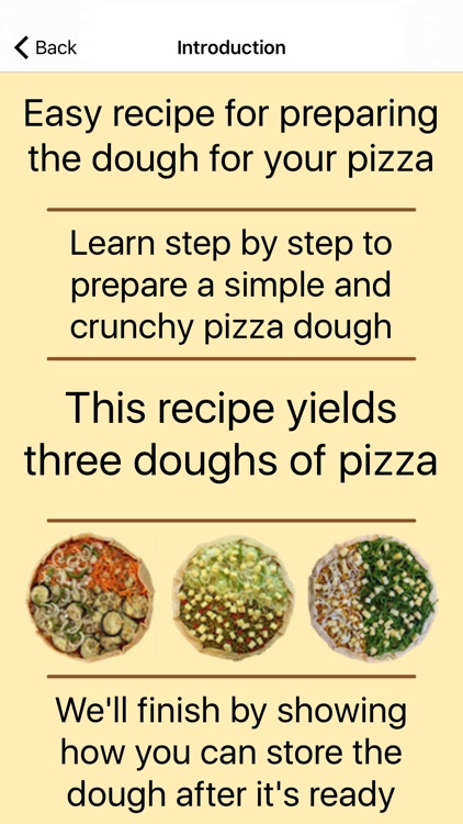 Pizza Recipes screenshot-3
