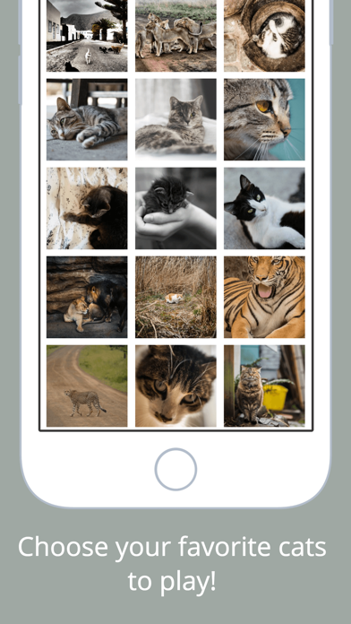 How to cancel & delete Cats Puzzle - Play with your favorite cats photos from iphone & ipad 2