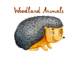 Woodland Animals