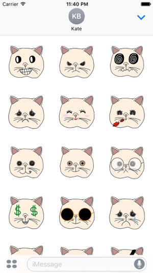 Funny Crazy Cat Stickers