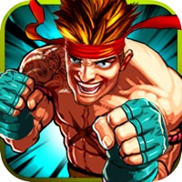 Wonder Kungfu Fight 3