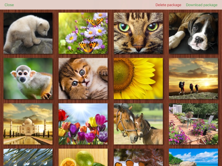 Bright Puzzles HD