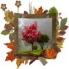 Photo Frames for Autumn Style