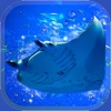 Aquarium Manta Simulation Game