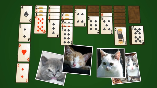 Solitaire Kittens(圖5)-速報App