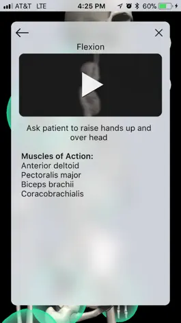 Game screenshot Musculoskeletal Pro Consult hack