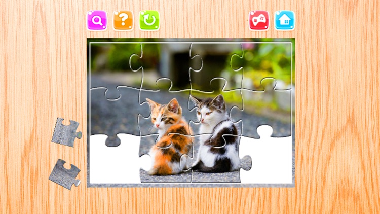 Cat Jigsaw Puzzles Game Animals for Adults