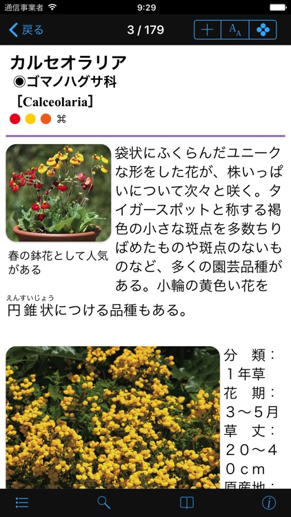 散歩で見かける四季の花