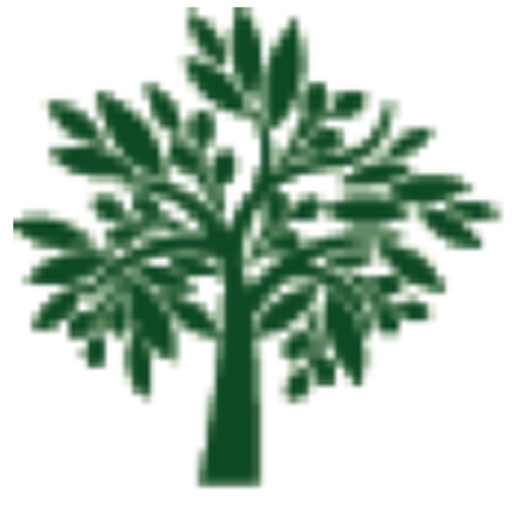 OPES Wealth Management