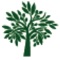 Through our unique wealth management process, we provide our clients with the intellectual framework to make sound financial decisions