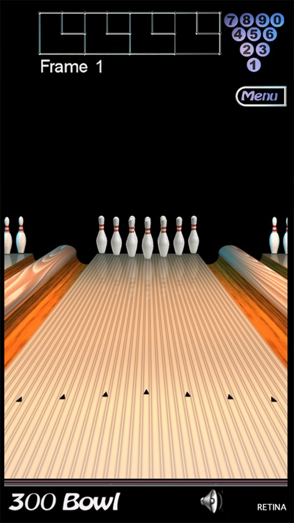 300 Bowl Universal