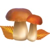 Mushroom Stickers for iMessage