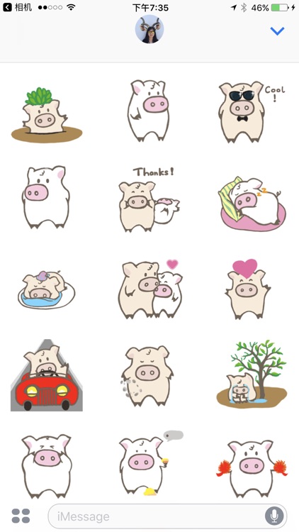 Toto Pig - Adorable Piggy Couple Animated Stickers