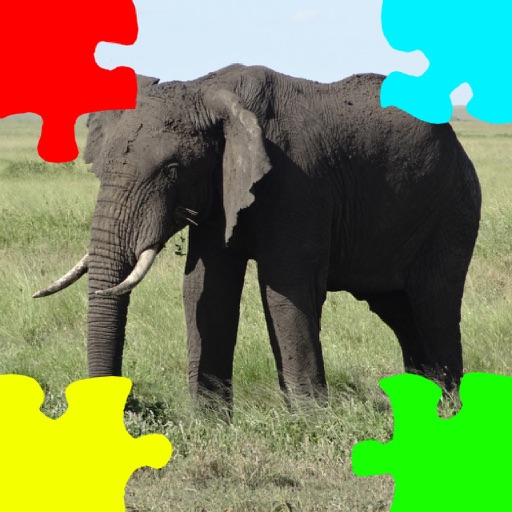 Elephants Jigsaw Puzzles with Photo Puzzle Maker iOS App