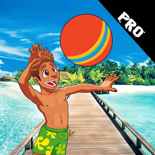 A Crazy Ball On The Beach PRO icon