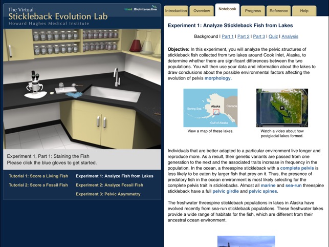 Stickleback Evolution Virtual Lab