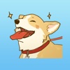 Corgi Dog Stickers for iMessage