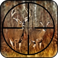 Activities of Real Deer Hunting 2017 Hunting Challenge Rampage