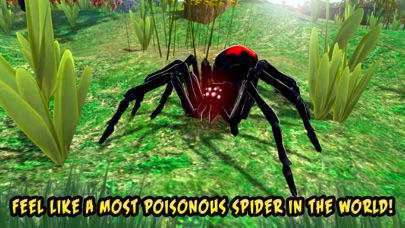 How to cancel & delete Black Widow Insect Spider Life Simulator from iphone & ipad 1