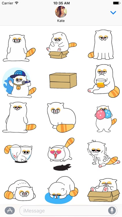 Mango the Cat - Animated GIF Stickers