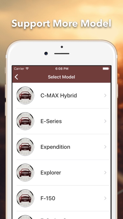Reset Oil Service Lite screenshot-3