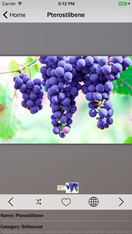 List of Antioxidants Info!