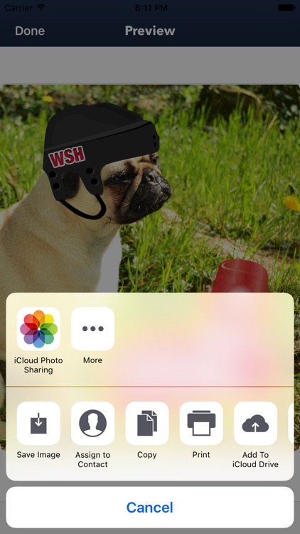 Washington Hockey Stickers & Emojis screenshot-4